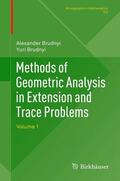 Technion R&D Foundation Ltd / Brudnyi |  Methods of Geometric Analysis in Extension and Trace Problems | Buch |  Sack Fachmedien