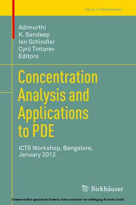 Adimurthi / Sandeep / Schindler |  Concentration Analysis and Applications to PDE | eBook | Sack Fachmedien