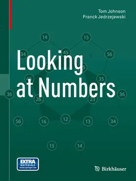Johnson / Jedrzejewski | Looking at Numbers | E-Book | www.sack.de