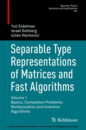 Eidelman / Gohberg / Haimovici | Separable Type Representations of Matrices and Fast Algorithms | E-Book | www.sack.de