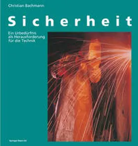 Bachmann |  Sicherheit | eBook | Sack Fachmedien