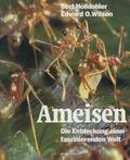 Hölldobler / Wilson |  Ameisen | Buch |  Sack Fachmedien