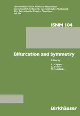 BÖHMER / ALLGOWER / GOLUBITSKY | Bifurcation and Symmetry | E-Book | sack.de
