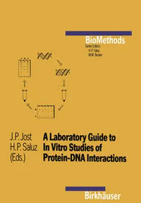 Jost / Saluz |  A Laboratory Guide to In Vitro Studies of Protein-DNA Interactions | eBook | Sack Fachmedien