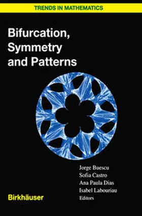 Buescu / de Castro / Dias |  Bifurcation, Symmetry and Patterns | eBook | Sack Fachmedien