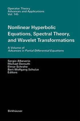 Albeverio / Demuth / Schrohe |  Nonlinear Hyperbolic Equations, Spectral Theory, and Wavelet Transformations | eBook | Sack Fachmedien