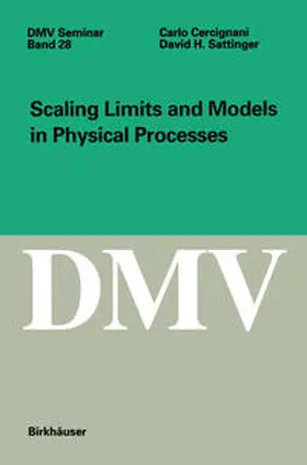 Cercignani / Sattinger | Scaling Limits and Models in Physical Processes | E-Book | www.sack.de