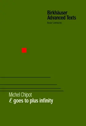 Chipot |  ¿ Goes to Plus Infinity | Buch |  Sack Fachmedien