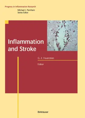 Feuerstein |  Inflammation and Stroke | Buch |  Sack Fachmedien