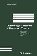 Aguade / Broto / Casacuberta |  Cohomological Methods in Homotopy Theory | Buch |  Sack Fachmedien