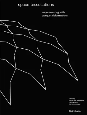 Hoeydonck / Kern / Sommeregger |  Space Tessellations | eBook | Sack Fachmedien