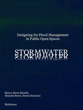 Rinaldi / Ronci / Salizzoni |  Stormwater | eBook | Sack Fachmedien