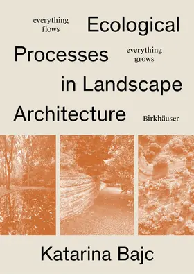 Bajc |  Everything Flows, Everything Grows | Buch |  Sack Fachmedien