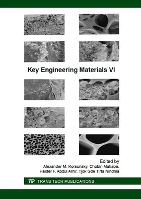 Korsunsky / Makabe / Abdul Amir |  Key Engineering Materials VI | eBook | Sack Fachmedien