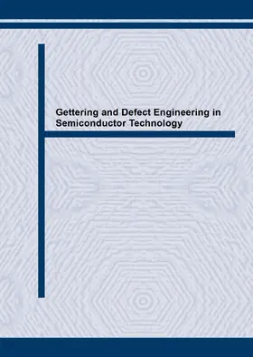 Kittler / Richter | Gettering and Defect Engineering in Semiconductor Technology IV | E-Book | sack.de