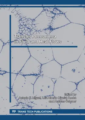 Miguel / Rocha / ?chsner |  Transfer Phenomena in Fluid and Heat Flows | Sonstiges |  Sack Fachmedien