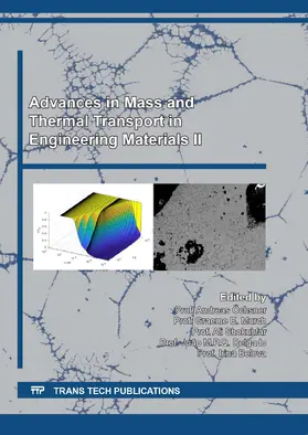 Öchsner / Murch / Shokuhfar | Advances in Mass and Thermal Transport in Engineering Materials II | E-Book | sack.de