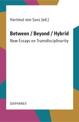 Sass |  Between / Beyond / Hybrid | Buch |  Sack Fachmedien