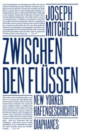 Mitchell | Zwischen den Flüssen | Buch | 978-3-0358-0412-6 | sack.de