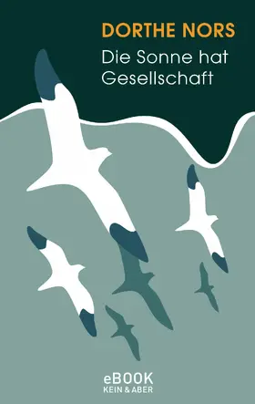 Nors |  Die Sonne hat Gesellschaft | eBook | Sack Fachmedien