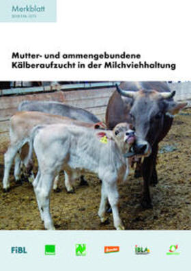 Spengler Neff / Schneider / Ivemeyer | Mutter- und ammengebundene Kälberaufzucht in der Milchviehhaltung | Buch | 978-3-03736-086-6 | sack.de