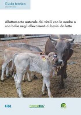 Spengler Neff / Schneider / Ivemeyer | Allattamento naturale dei vitelli con la madre o una balia negli allevamenti di bovini da latte | Buch | 978-3-03736-166-5 | sack.de