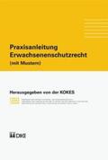 Affolter / Biderbost / Häfeli |  Praxisanleitung. Erwachsenenschutzrecht (mit Mustern) | Buch |  Sack Fachmedien