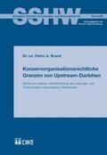 Brand |  Konzernorganisationsrechtliche Grenzen von Upstream-Darlehen | Buch |  Sack Fachmedien