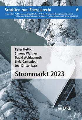 Hettich / Walther / Wohlgemuth | Strommarkt 2023 | Buch | 978-3-03751-945-5 | sack.de
