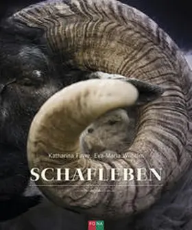 Favre / Wilhelm |  Schafleben | Buch |  Sack Fachmedien