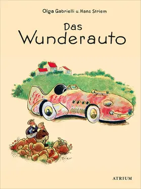Gabrielli / Striem |  Das Wunderauto | eBook | Sack Fachmedien