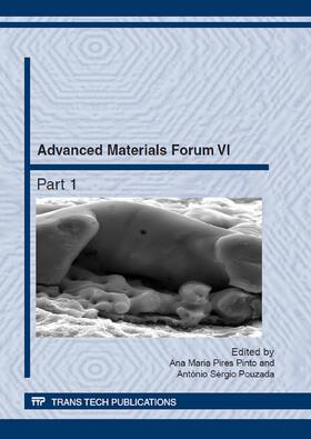 Pinto / Pouzada |  Advanced Materials Forum VI | Sonstiges |  Sack Fachmedien