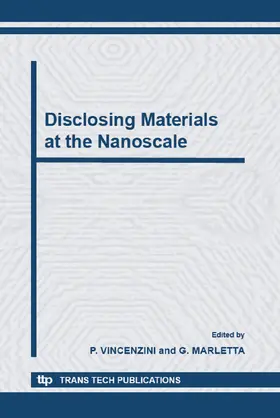 Vincenzini / Marletta |  Disclosing Materials at the Nanoscale | eBook | Sack Fachmedien