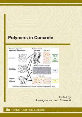 Aguiar / Czarnecki |  Polymers in Concrete | eBook | Sack Fachmedien