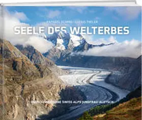 Schmid / Theler |  Seele des Welterbes | Buch |  Sack Fachmedien