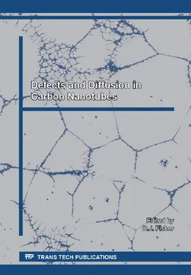 Fisher | Defects and Diffusion in Carbon Nanotubes | Buch | 978-3-03835-219-8 | sack.de