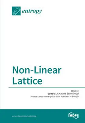  Non-Linear Lattice | Buch |  Sack Fachmedien