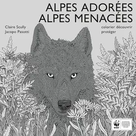 Pasotti |  Alpes Adorées, Alpes Menacées | Buch |  Sack Fachmedien