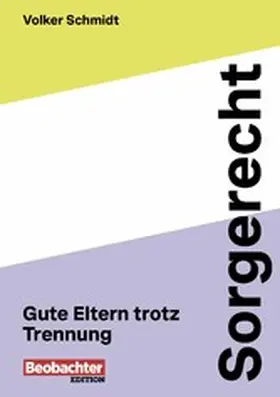 Schmidt |  Sorgerecht | eBook | Sack Fachmedien