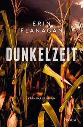  Dunkelzeit | Buch |  Sack Fachmedien