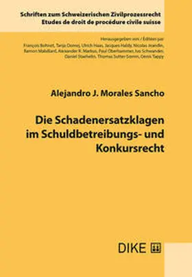 Morales Sancho | Die Schadenersatzklagen im Schuldbetreibungs- und Konkursrecht | Buch | 978-3-03891-039-8 | sack.de