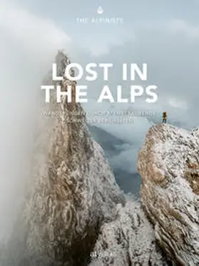 Bäni / Bonderer / Flepp | Lost in the Alps | Buch | 978-3-03902-100-0 | www.sack.de