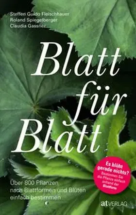Fleischhauer / Spiegelberger / Gassner |  Blatt für Blatt | Buch |  Sack Fachmedien
