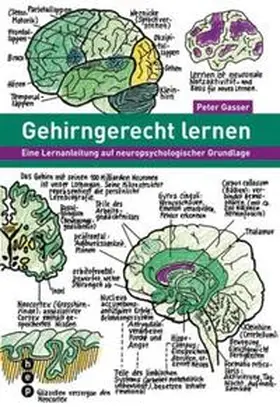 Gasser | Gehirngerecht lernen | Buch | 978-3-03905-584-5 | www.sack.de