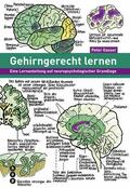 Gasser |  Gehirngerecht lernen (E-Book) | eBook | Sack Fachmedien