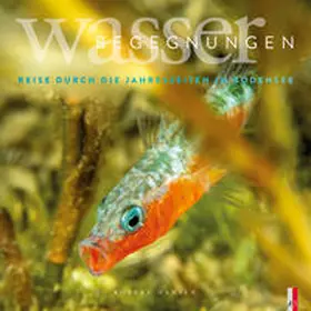 Hansen |  Wasser Begegnungen | Buch |  Sack Fachmedien