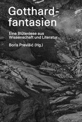 Previšic / Dietrich / Previsic |  Gotthardfantasien | eBook | Sack Fachmedien