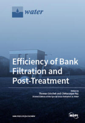 Grischek / Ray | Efficiency of Bank Filtration and Post-Treatment | Buch | 978-3-03921-305-4 | sack.de