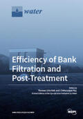 Grischek / Ray |  Efficiency of Bank Filtration and Post-Treatment | Buch |  Sack Fachmedien