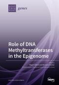 Jeltsch / Gowher |  Role of DNA Methyltransferases in the Epigenome | Buch |  Sack Fachmedien